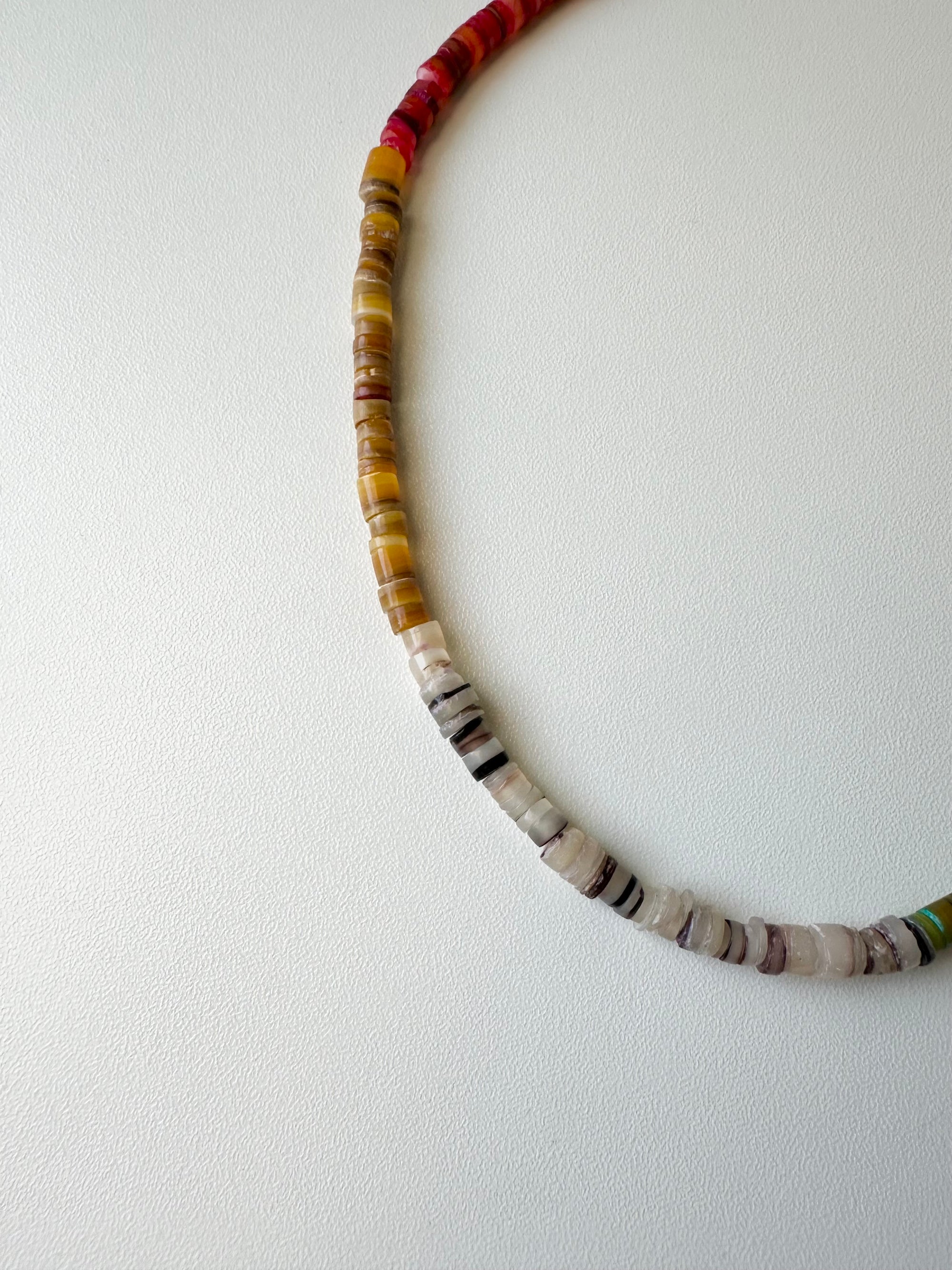 Rainbow Shell Necklace
