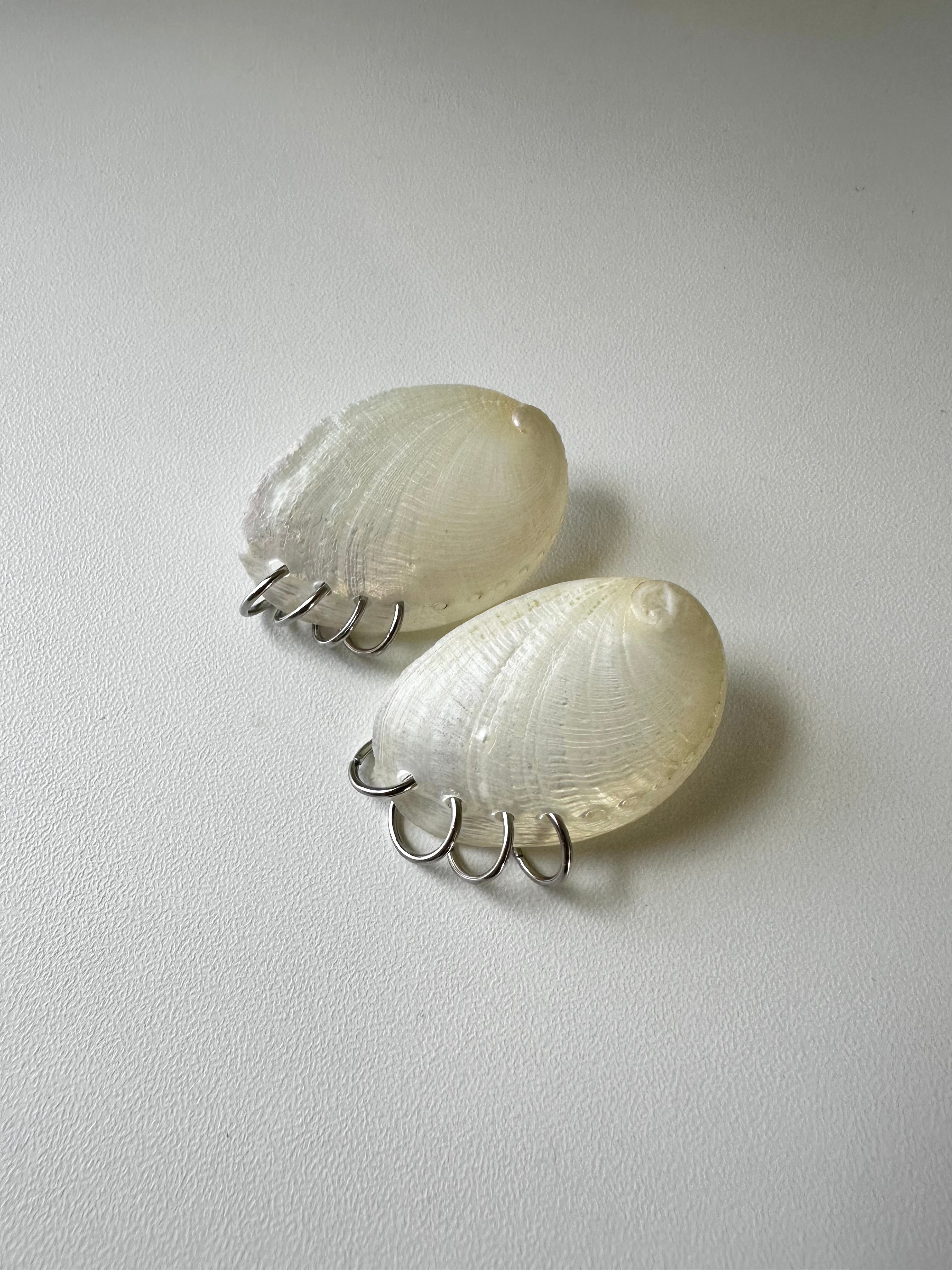 Silver Pierced Shell Stud