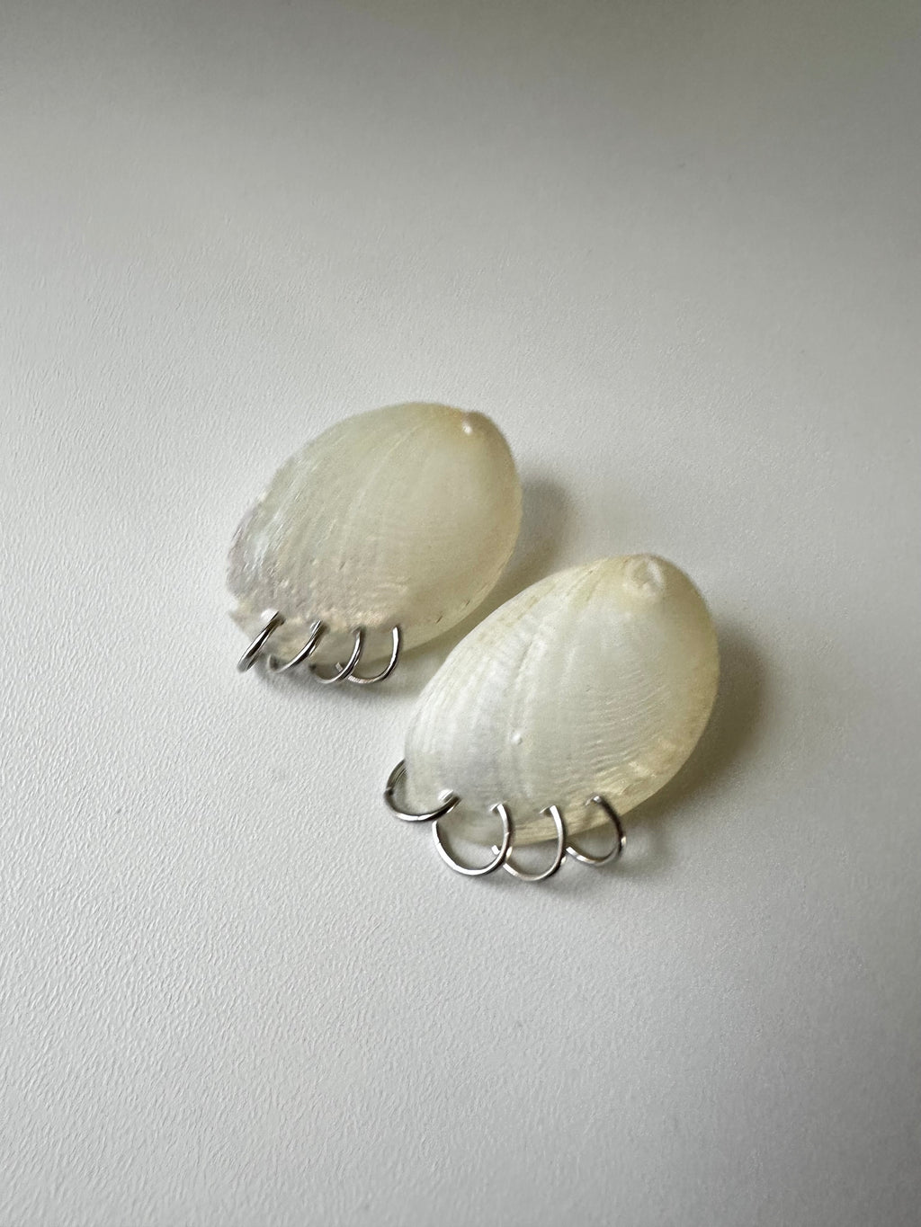 Silver Pierced Shell Stud