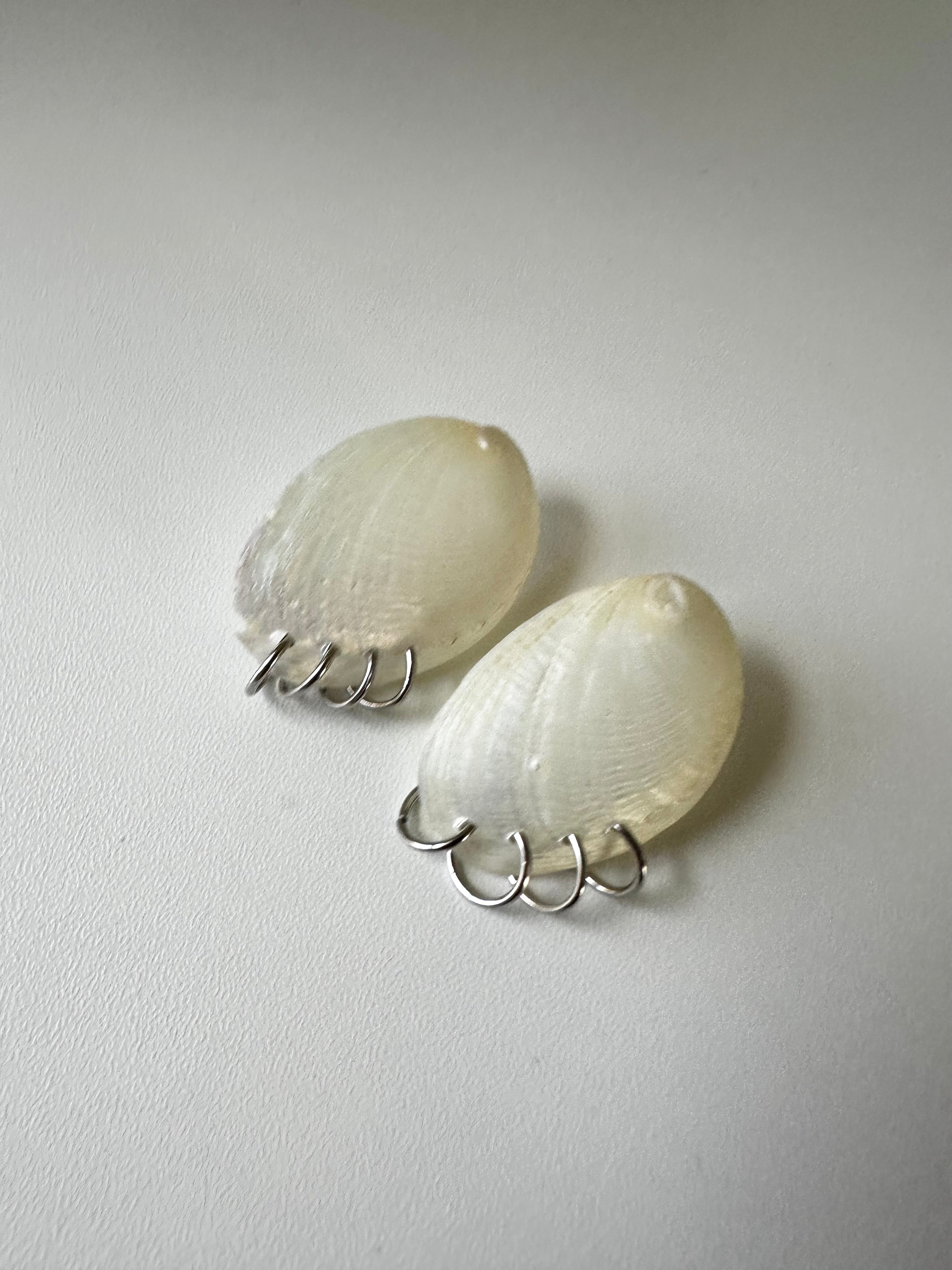 Silver Pierced Shell Stud